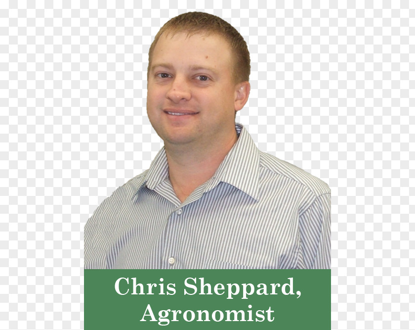 Sorghum Chris Sheppard Broom-corn Maize Crop Grain PNG