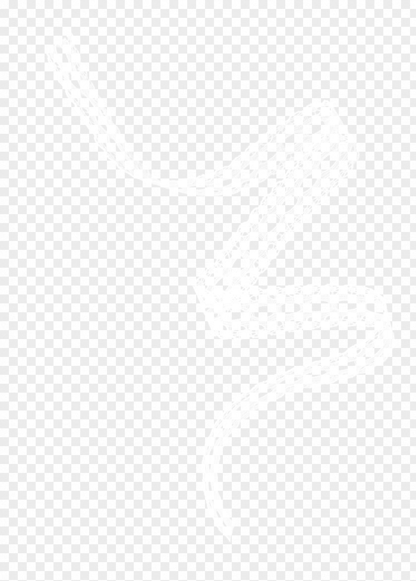 White,Ribbon,Decorative Background United States Email Hotel Business White PNG