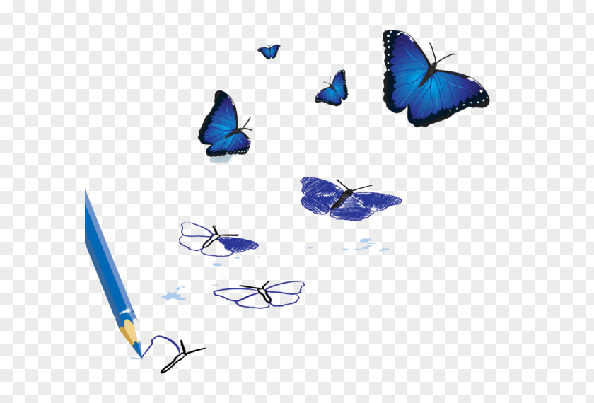 Blue Butterfly Group Facebook Social Network PNG