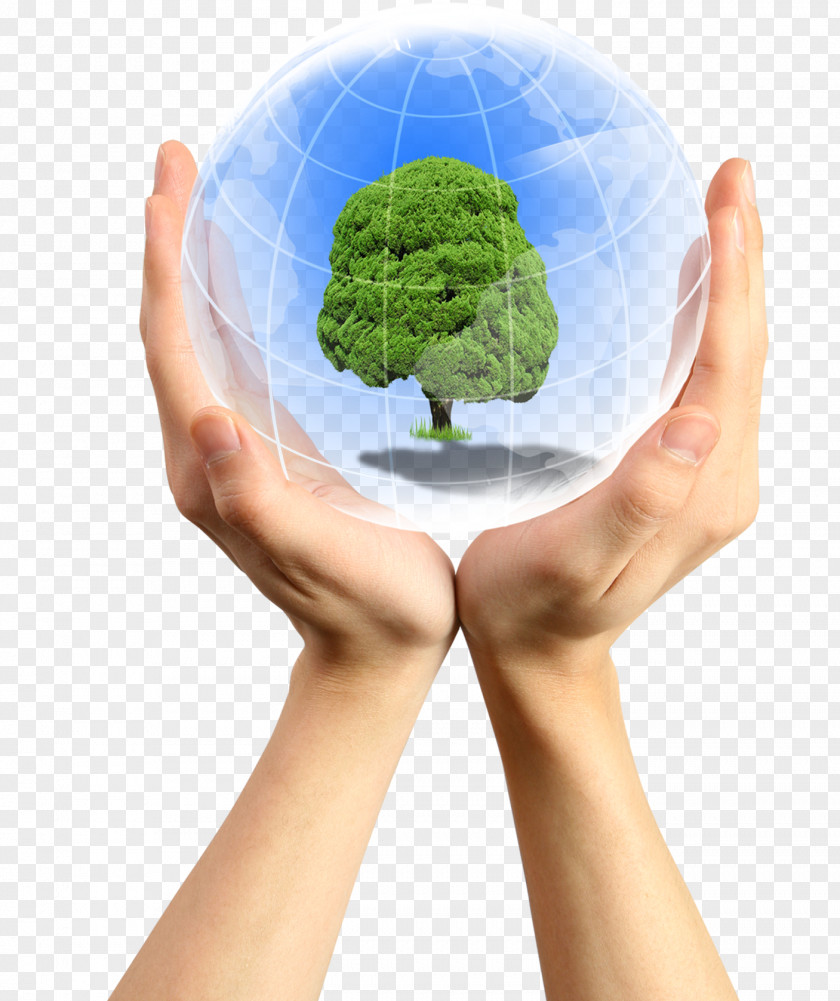Earth,protect The Earth Hand Index Finger Clip Art PNG