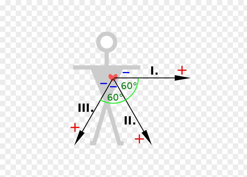 Ekg Electrocardiography Einthoven's Triangle Cardiology Lead Electricity PNG