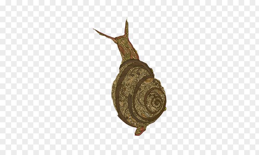 Free Hand Drawing Snail Pull Material Orthogastropoda Wine Google Images PNG