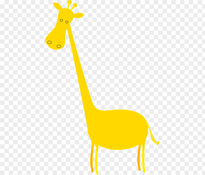 Giraffe Baby Giraffes Clip Art Image Red PNG