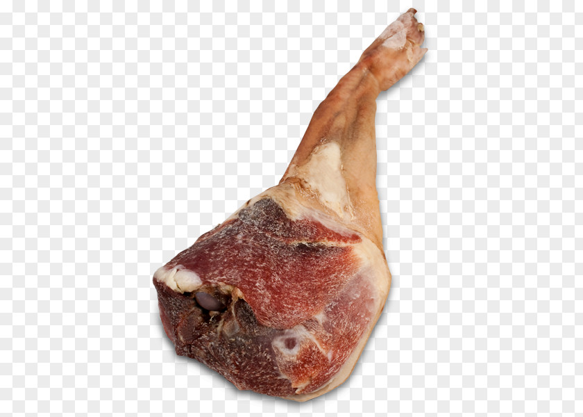 Ham Cocido Caldo Gallego Pig's Ear Domestic Pig PNG