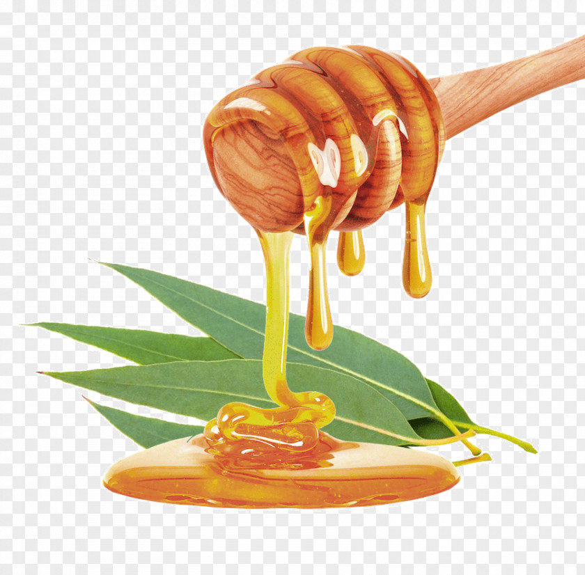 Honey Mānuka Stock Photography Bee Food PNG