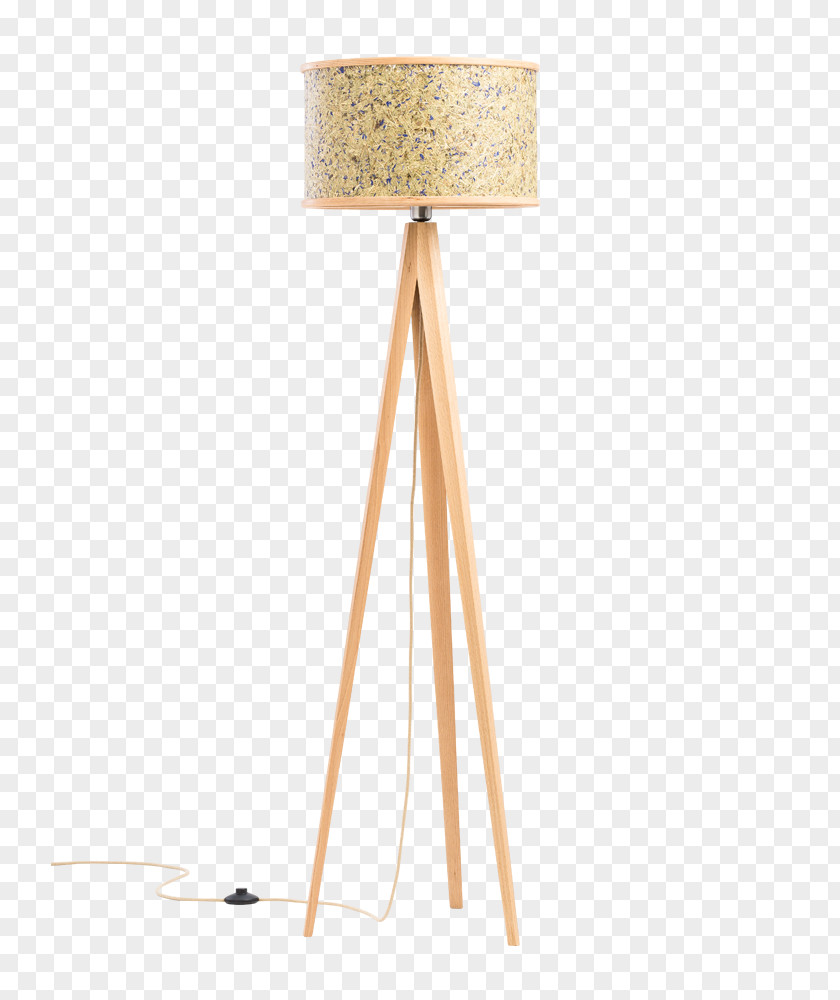 Wood Lamp Shades Light Fixture Beuken PNG