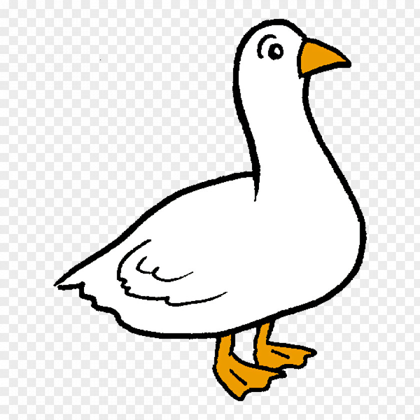 Duck Goose Line Art Cartoon Beak PNG