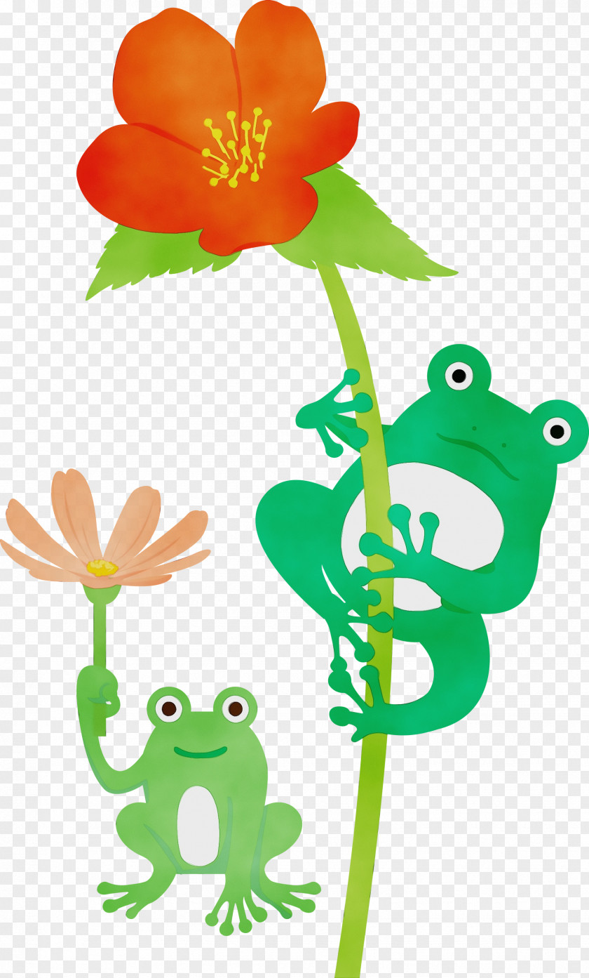 Flower Frogs Plant Stem Tree Frog Petal PNG