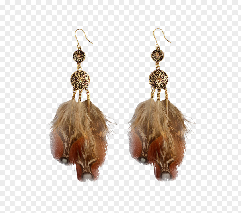 Jewellery Earring Clothing Accessories Necklace Gemstone PNG