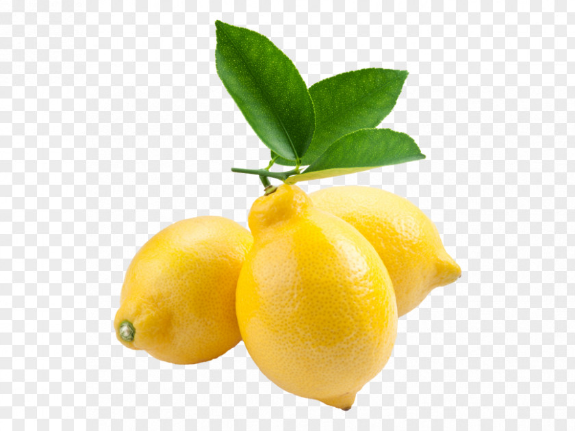 Lemon Juice Lime Extract Fruit PNG