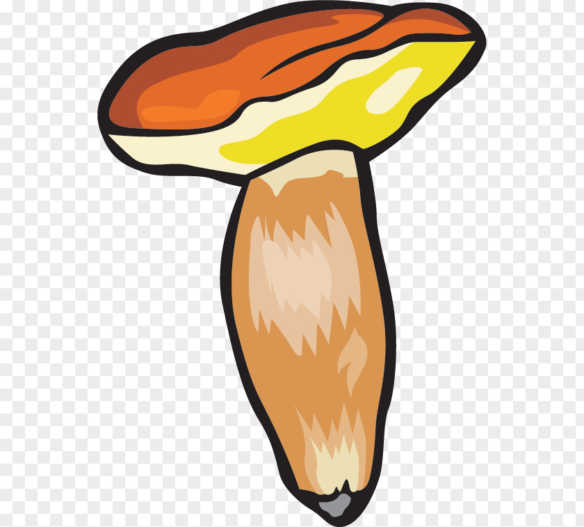 Mushroom Food Cream Of Soup Clip Art PNG
