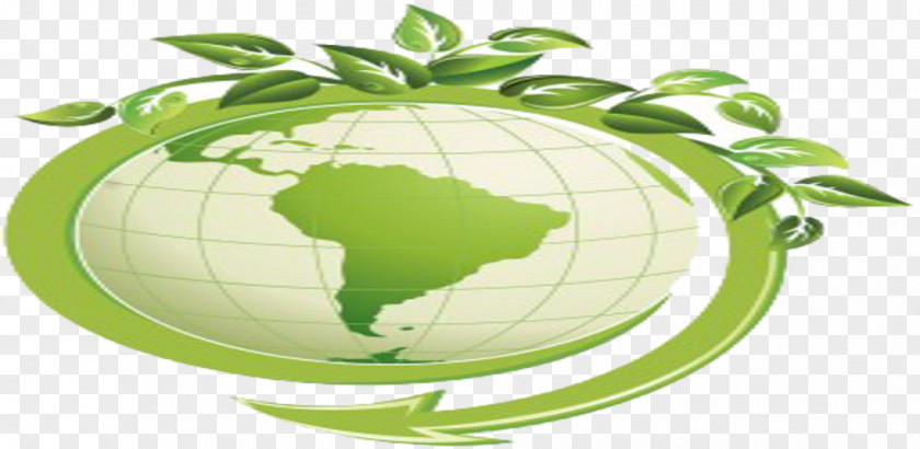 Natural Environment Environmentally Friendly Environmental Issue Carbon Tax Policy PNG