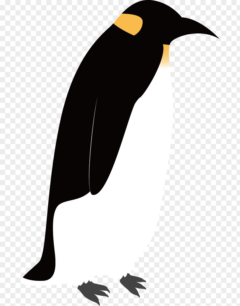 Black Penguin Emperor Bird Drawing PNG
