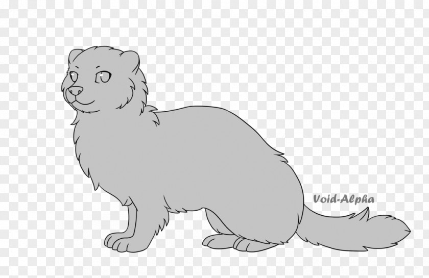 Cat Whiskers Ferret Weasels Otter PNG