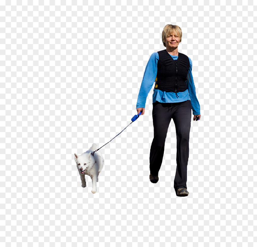 Dog Walking Leash Pet Collar PNG