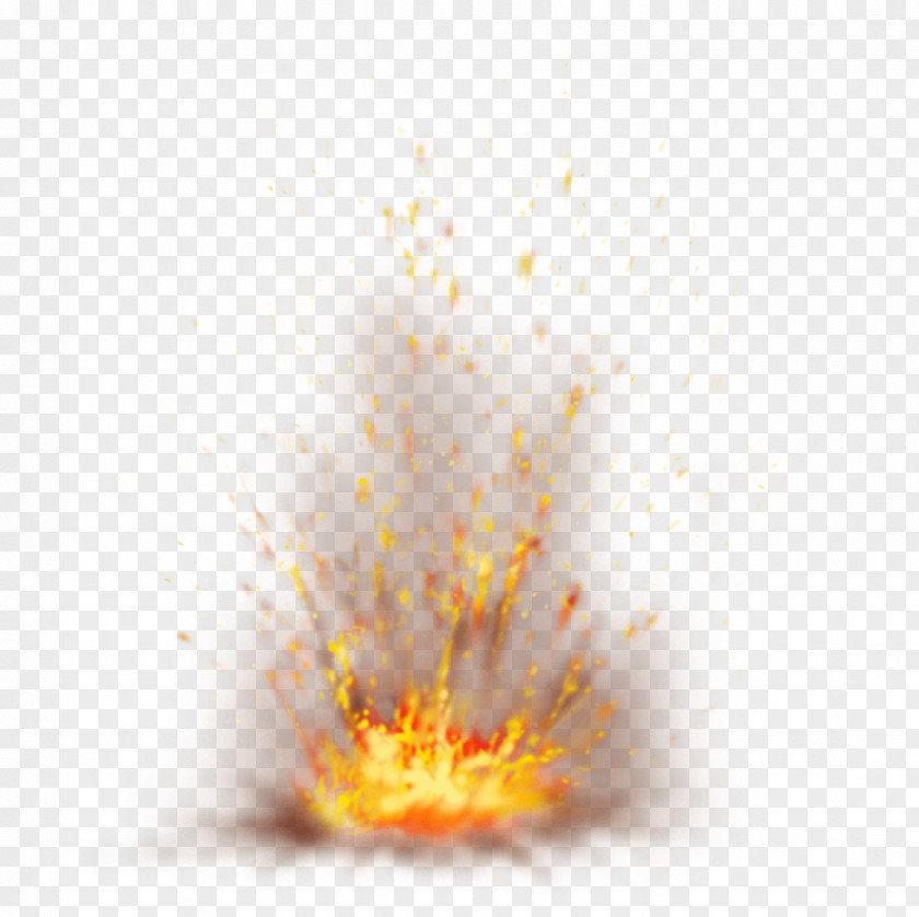 Fire Clip Art Transparency Image PNG
