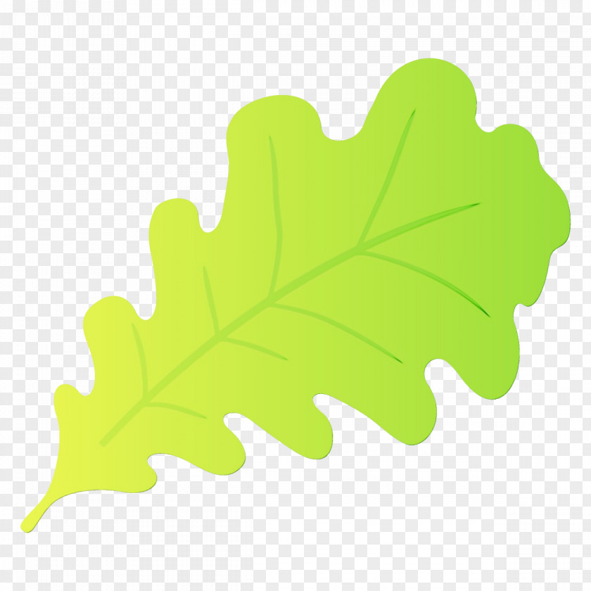 Flower Black Maple Plane PNG