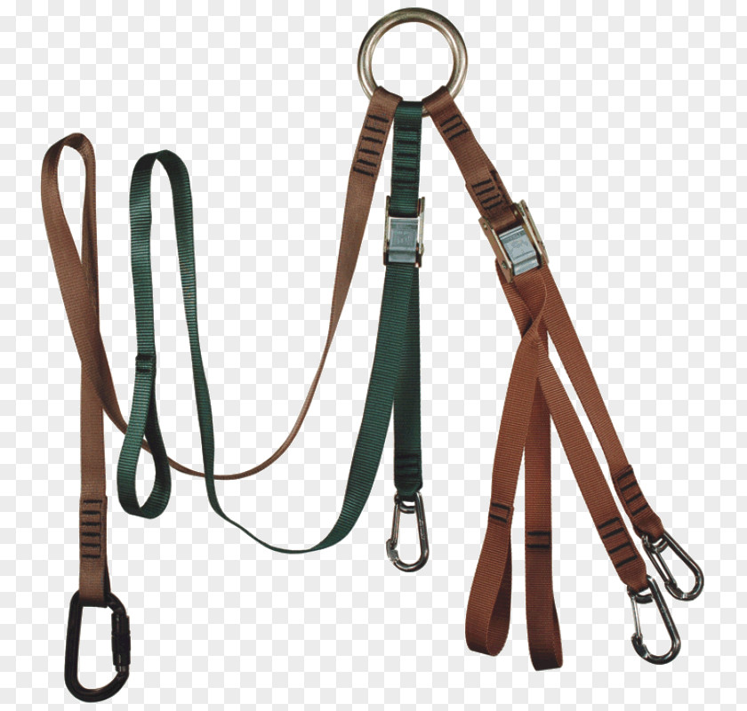 Military Bridle Leash Horse System PNG