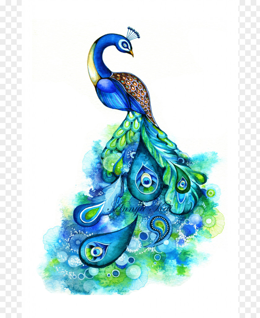 Peacock Images Art Watercolor Painting Peafowl Abstract PNG