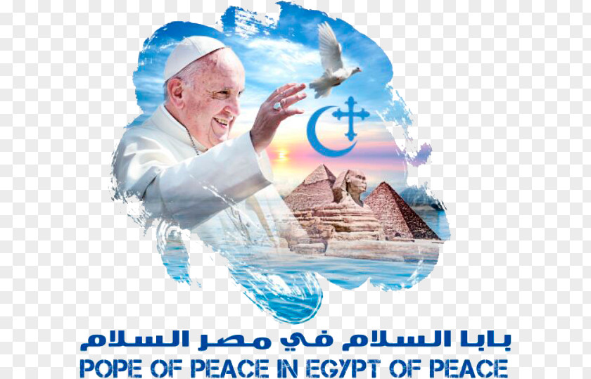 Pope Francis Egypt Vatican City Holy See PNG