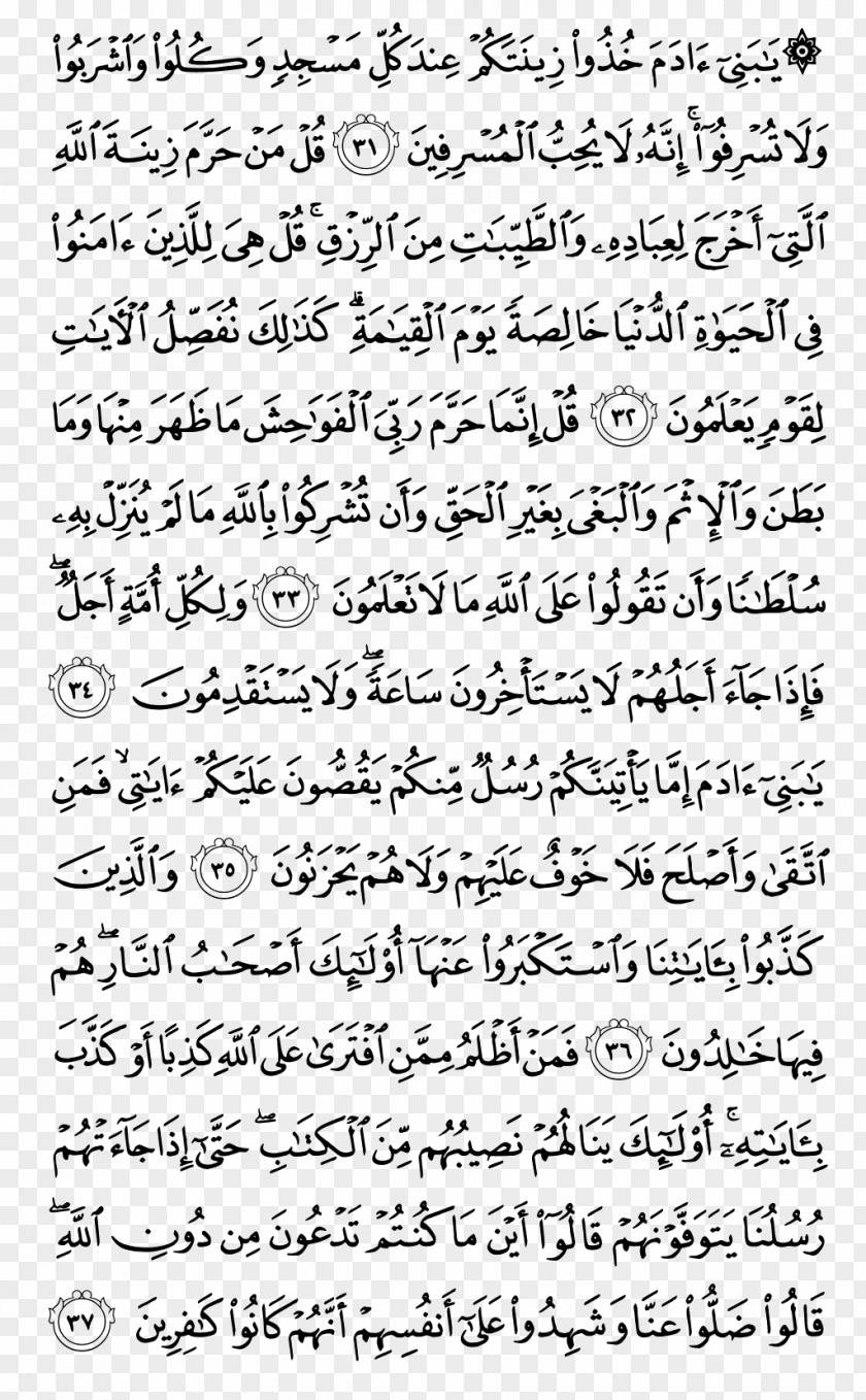 Quran Kareem Noble Ya Sin Juz 8 Surah PNG