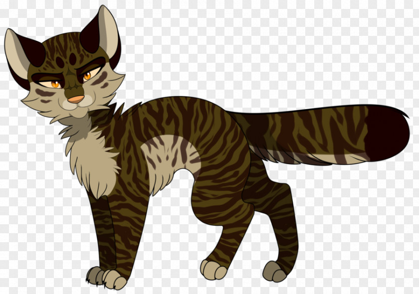 Tigerstar American Wirehair Whiskers Domestic Short-haired Cat Tabby Warriors PNG
