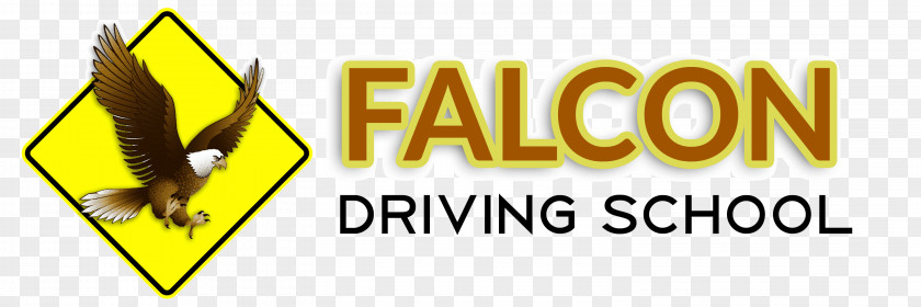Driving School North Bergen Falcon All City Levelup Distribuzione Estetica Level Up Jersey Service PNG