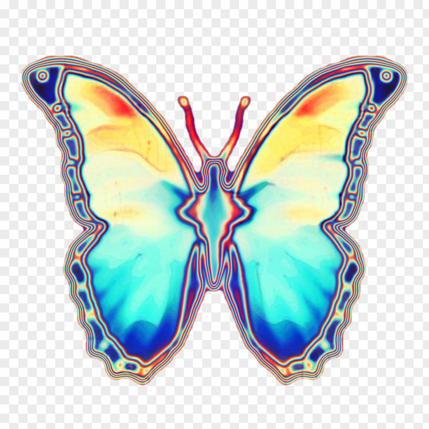 Emperor Moths Brooch Monarch Butterfly PNG