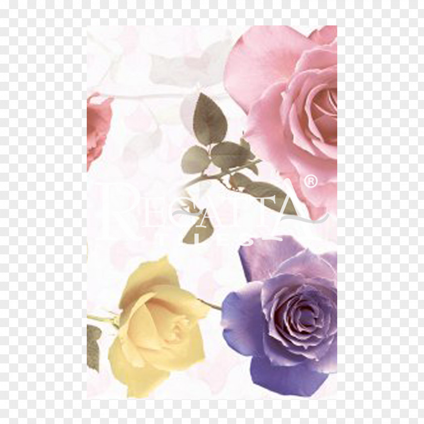 Flower Garden Roses Cabbage Rose Damask バラ百句 PNG