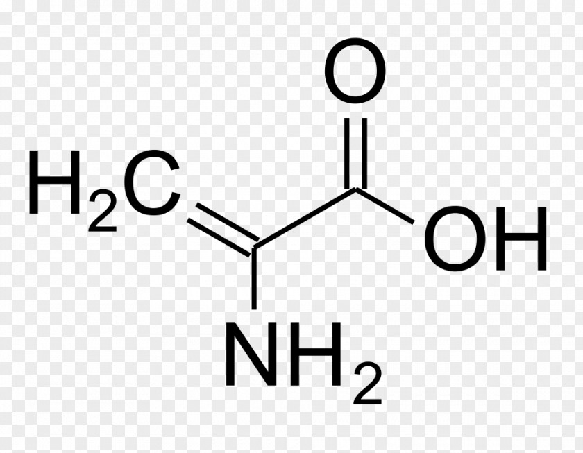 Hydro Phenylalanine Ammonia-lyase Amino Acid Leucine Tyrosine PNG