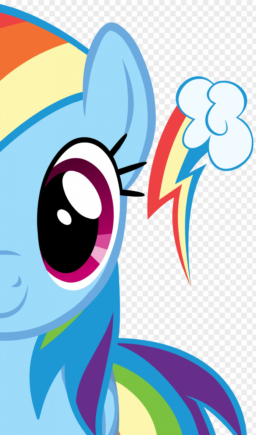 Little Pony Rainbow Dash My PNG