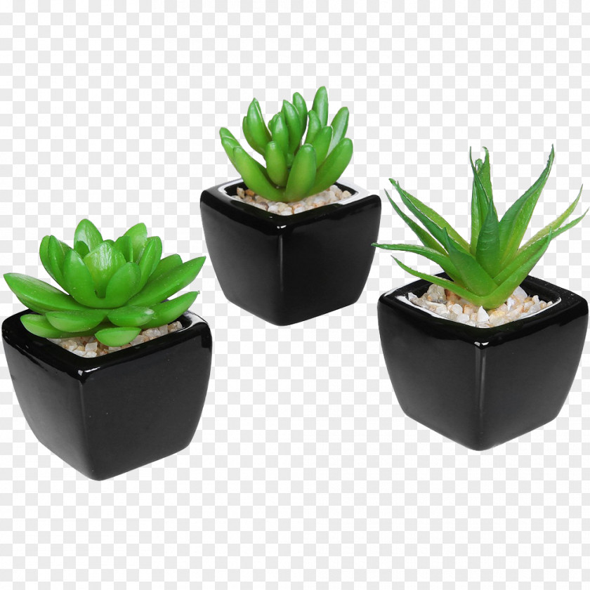 Succulent Plant Flowerpot Ceramic Artificial Flower PNG