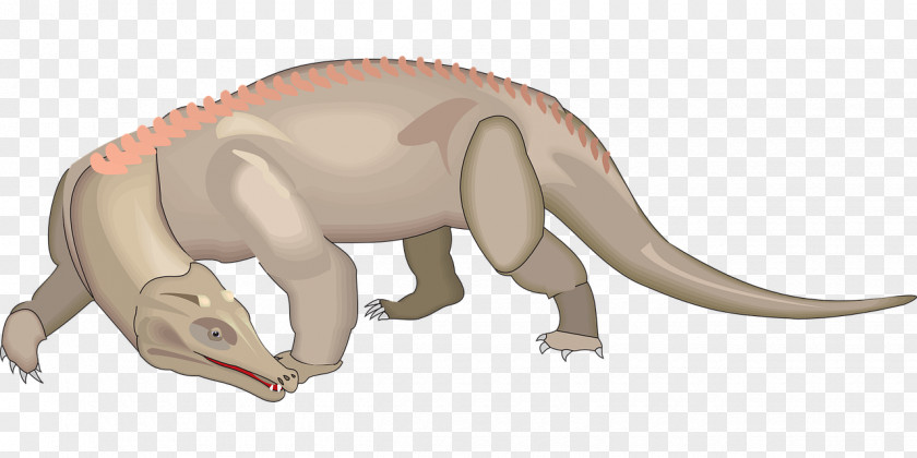 恐龙 Tyrannosaurus Tail Clip Art PNG