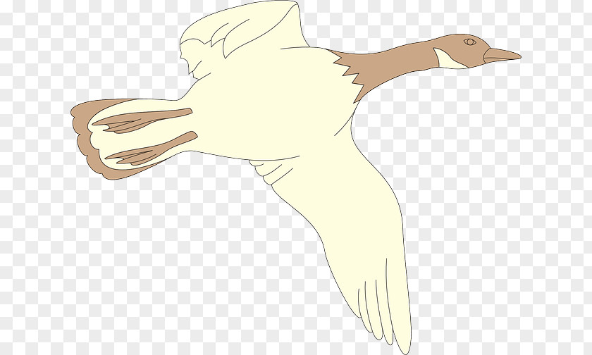 Goose Bird Cygnini Duck Clip Art PNG