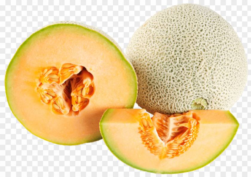 Melon Cantaloupe Galia PNG
