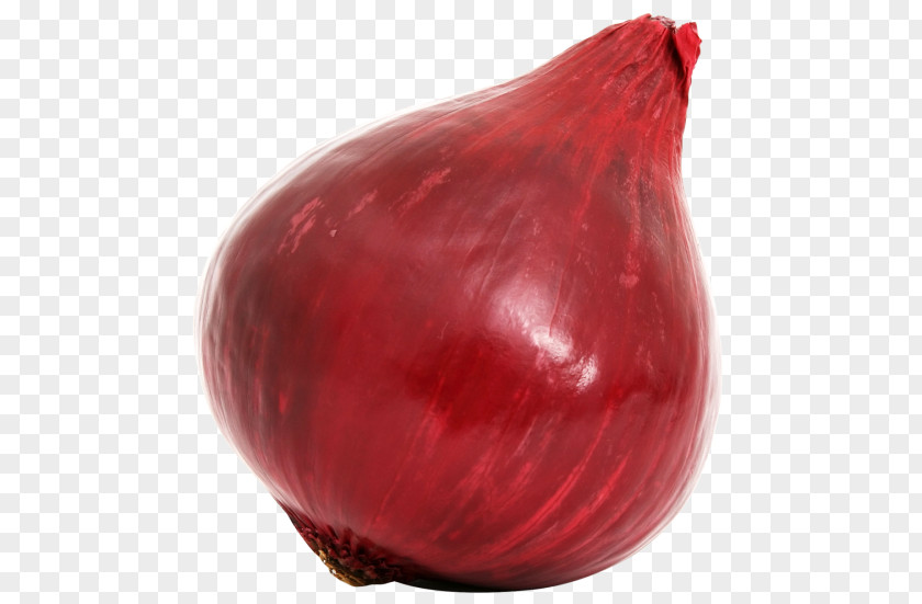 Picture Download Onion Red Vegetable Clip Art PNG