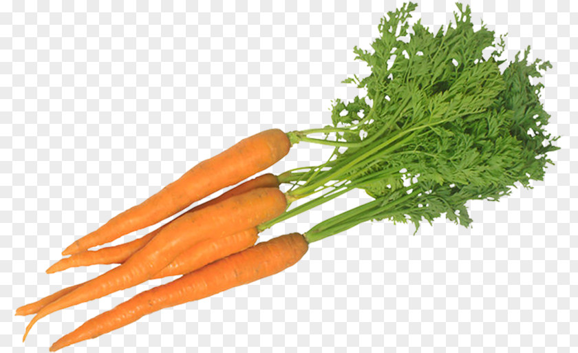 Vegetable Food Carrot Fruit Vitamin PNG