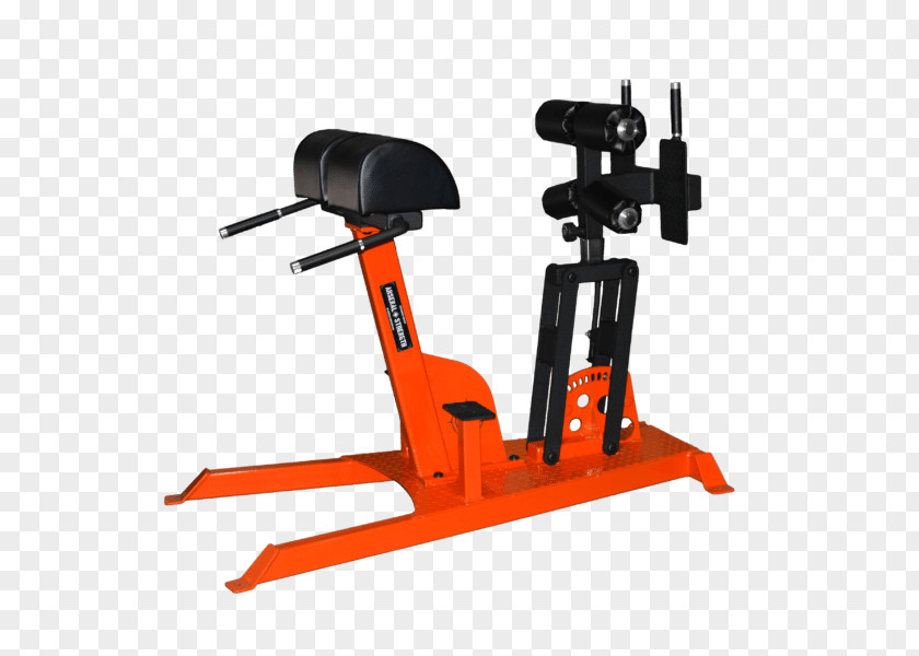 Barbell Bench Press Hyperextension Exercise Equipment PNG