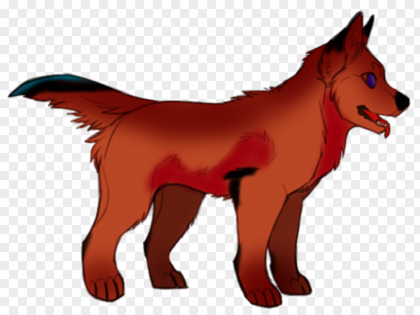 Dog Red Fox Dhole Wolf Snout PNG