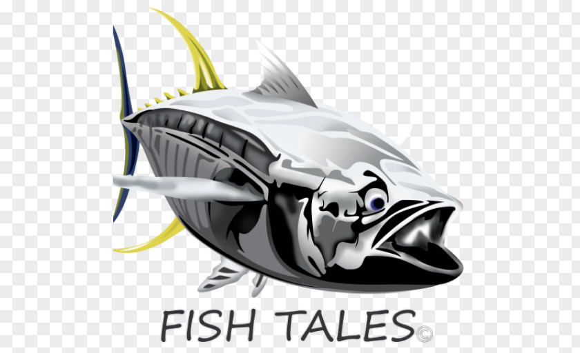 FISH TALES CHARTERS (Cape Town) Hout Bay Yellowfin Tuna Bony Fishes PNG