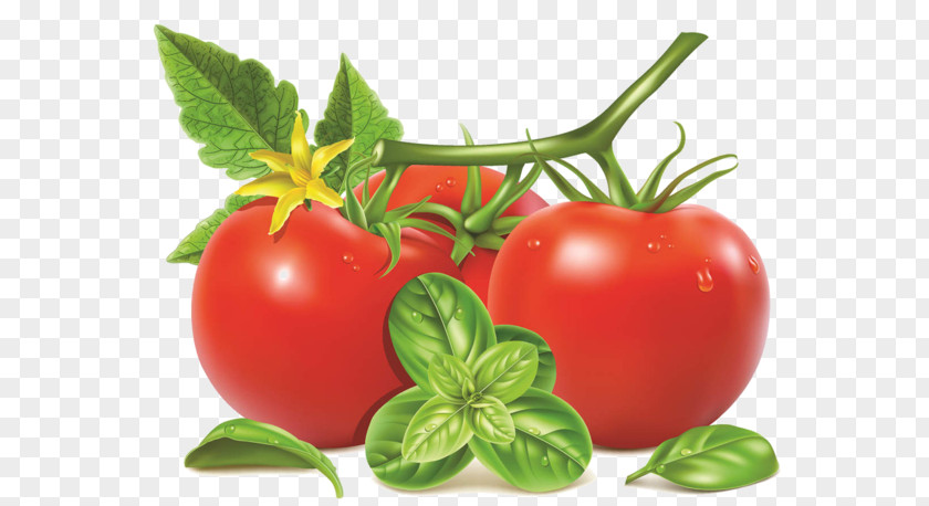 Plum Tomato Cherry Tomatoes PNG