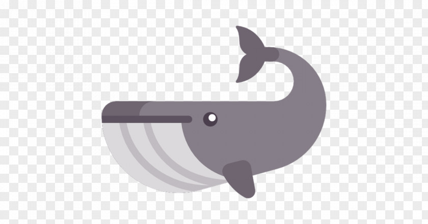 Whale Writing Clip Art Image Vector Graphics PNG