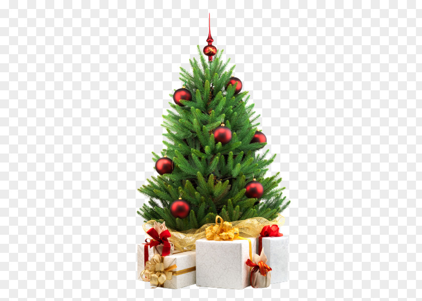 Christmas Tree Decoration White Stock Photography PNG