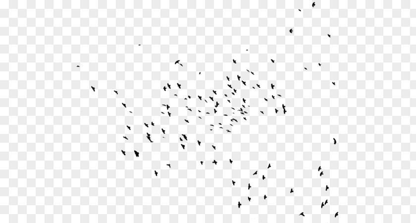 Flock Of Birds Hummingbird Bird Migration Swallow PNG