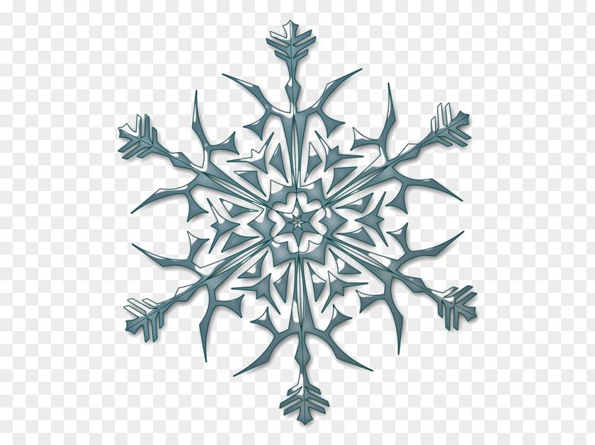 Hexagonal Snowflakes Snowflake Hexagon PNG