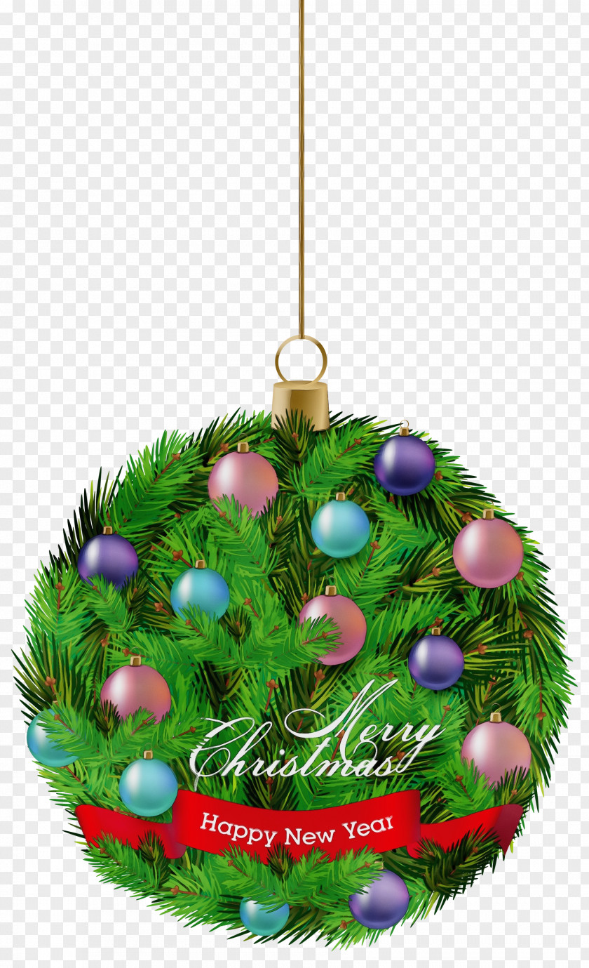 Plant Fir Christmas Ornament PNG