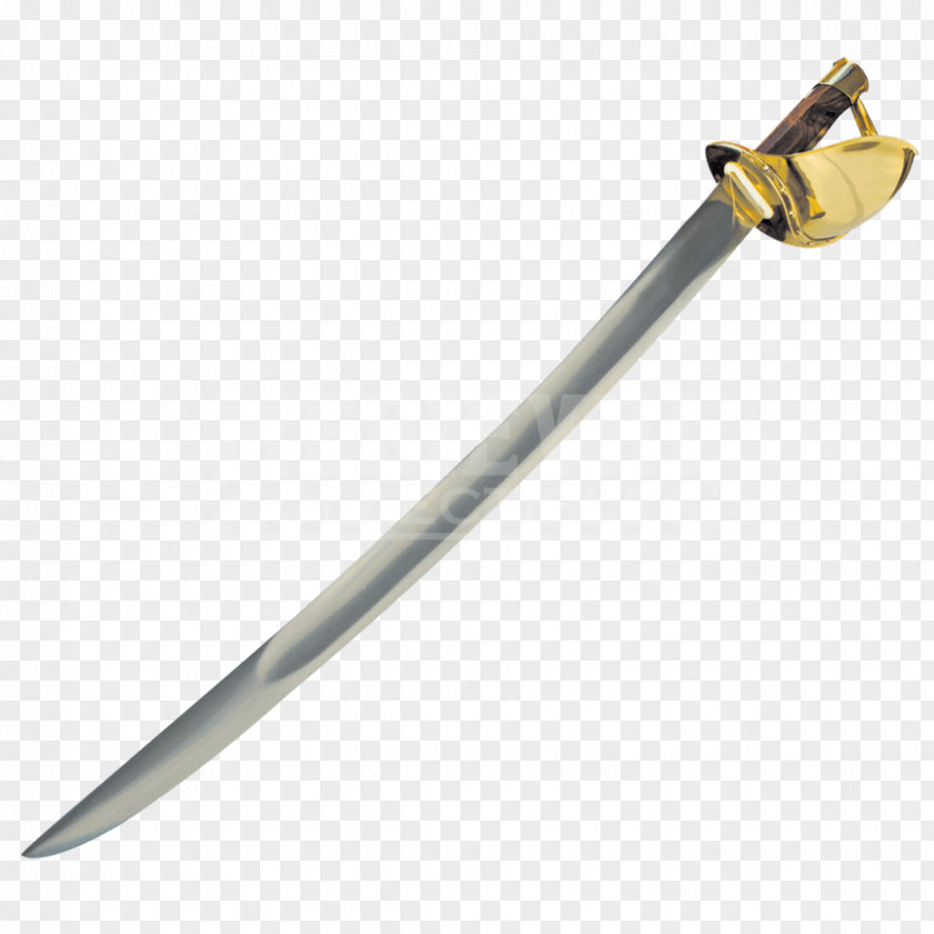 Sword Cutlass Golden Age Of Piracy Sabre PNG