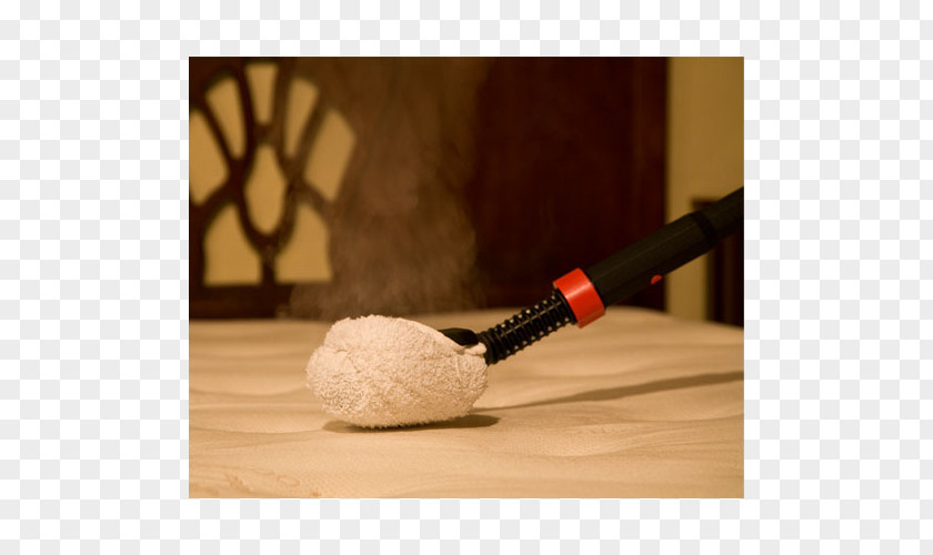 Allergy Steam Cleaning Vapor Cleaner Textile PNG