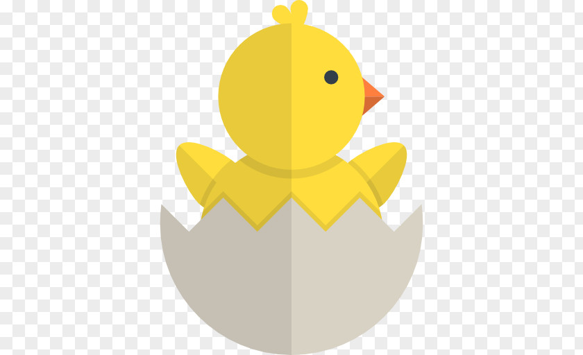 Chick Duck Chicken Clip Art PNG