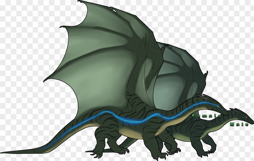 Dragon City Dragons Unique Clip Art Vector Graphics Image Free Content PNG